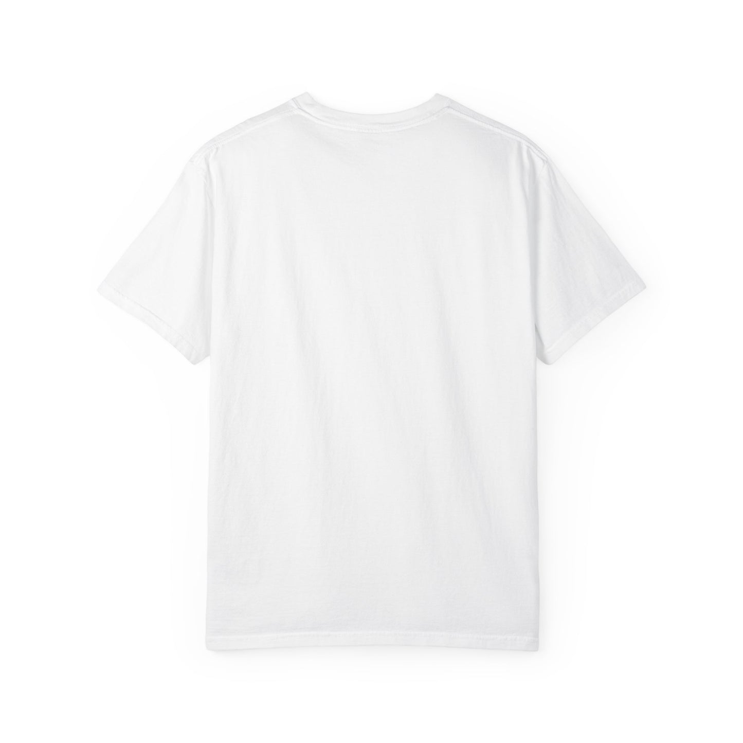 Faith Alone in Christ T-Shirt