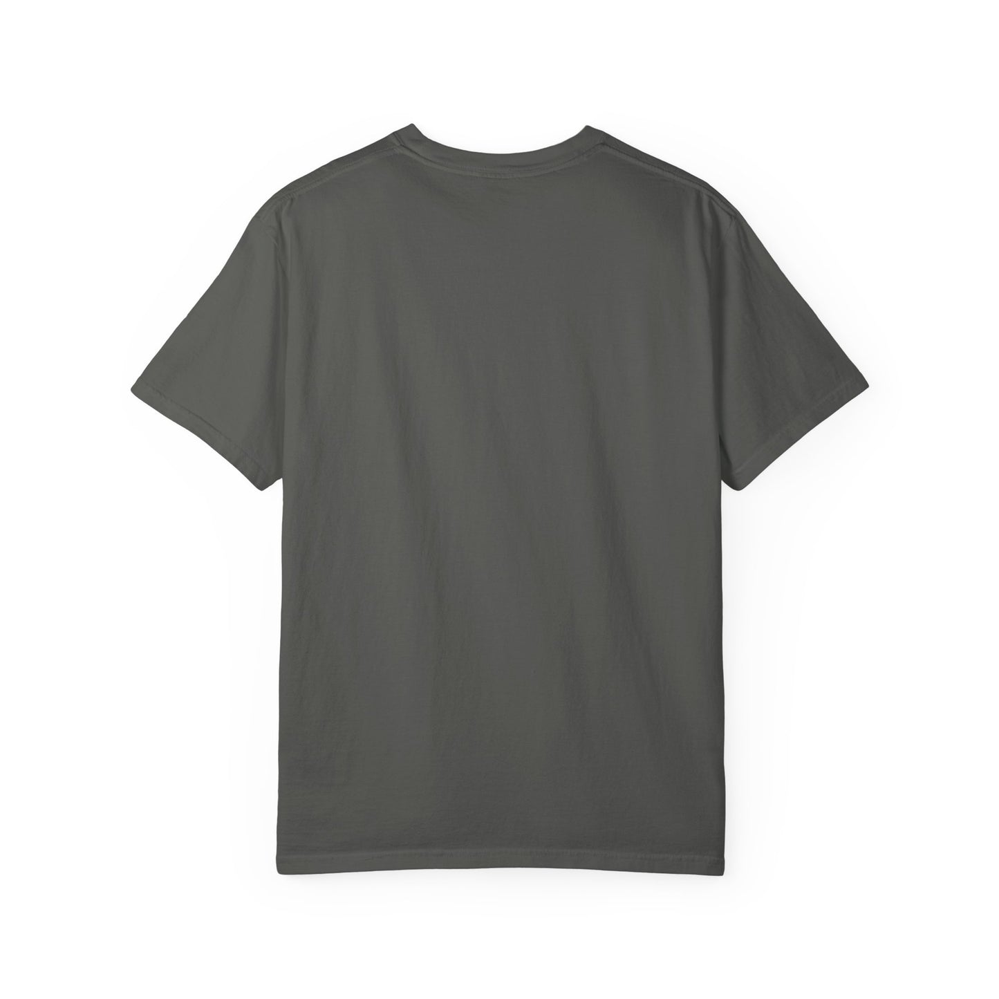 Faith Alone in Christ T-Shirt