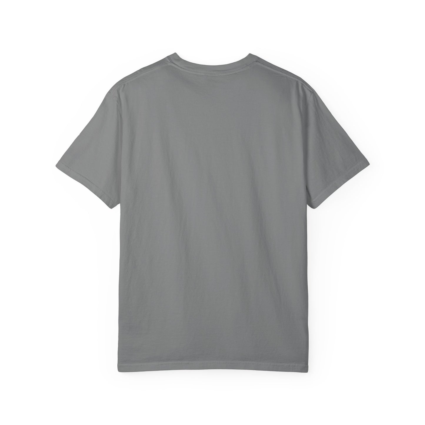 Faith Alone in Christ T-Shirt